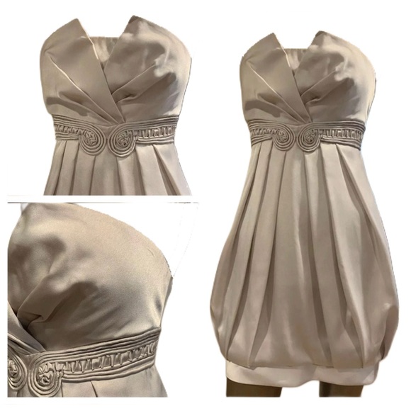 BCBG Bubble Dress